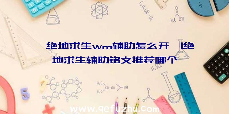 「绝地求生wm辅助怎么开」|绝地求生辅助铭文推荐哪个